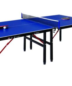 Table Tennis Table "RADAK Mini" Heavy Duty Construction