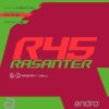 andro Rasanter R45