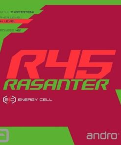 andro Rasanter R45