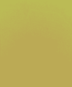 729 TZY Yellow Sponge
