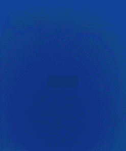 729 ZHL Blue Sponge