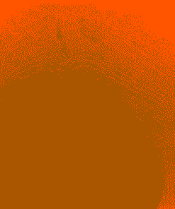 729 ZHO Orange Sponge