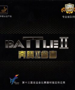 729 Battle 2