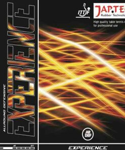 Japtec-Experience