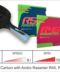 RADAK Ebenholz Carbon Ready To Play Andro Rasanter R45/R53