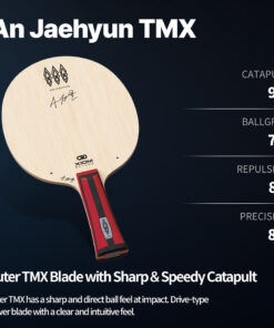 Alternative view of Xiom An JaeHyun TMX (AJH)